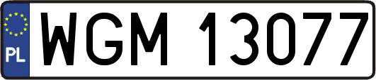 WGM13077