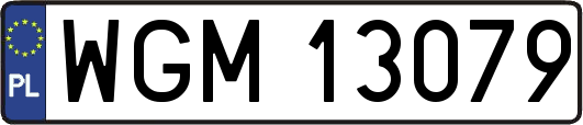 WGM13079