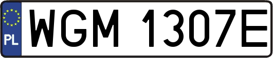 WGM1307E