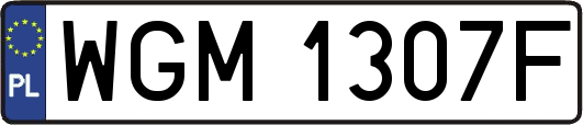 WGM1307F