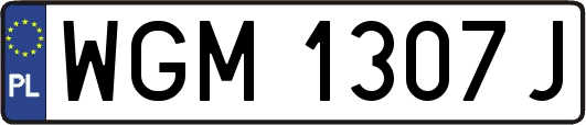 WGM1307J