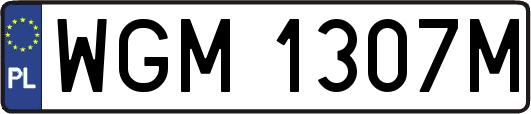 WGM1307M