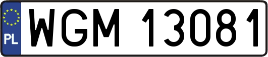 WGM13081