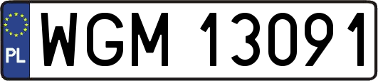 WGM13091