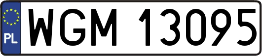 WGM13095