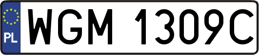 WGM1309C