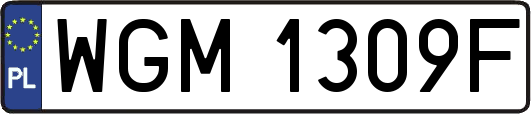 WGM1309F