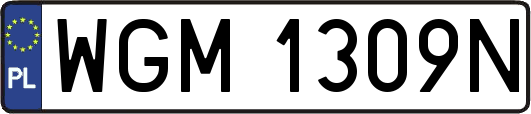 WGM1309N