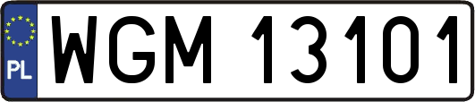 WGM13101
