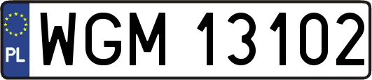 WGM13102