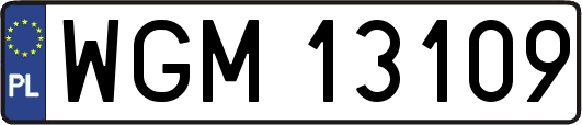 WGM13109