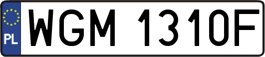 WGM1310F