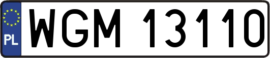 WGM13110