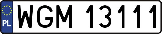 WGM13111