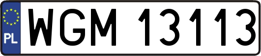 WGM13113
