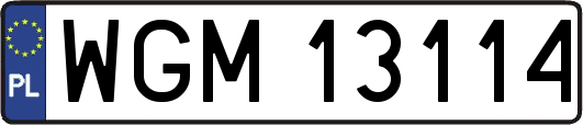 WGM13114
