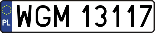 WGM13117