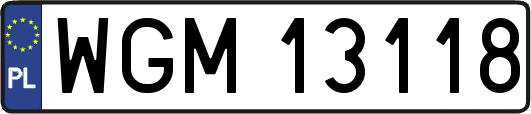 WGM13118
