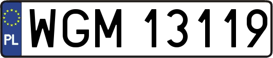 WGM13119