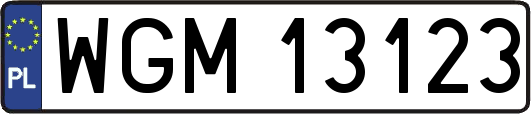 WGM13123