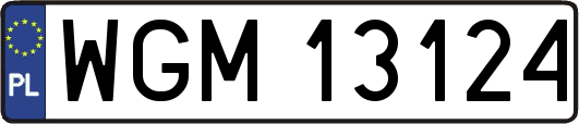 WGM13124
