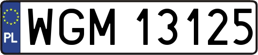 WGM13125