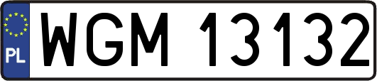 WGM13132