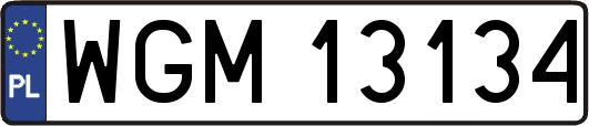 WGM13134