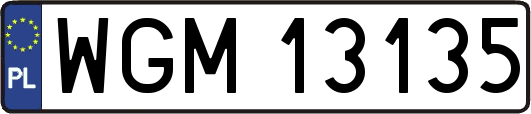 WGM13135