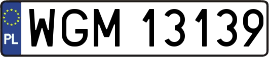 WGM13139