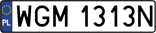 WGM1313N