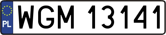 WGM13141