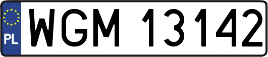 WGM13142