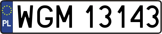 WGM13143