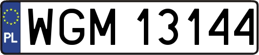 WGM13144