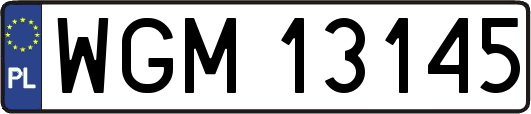 WGM13145