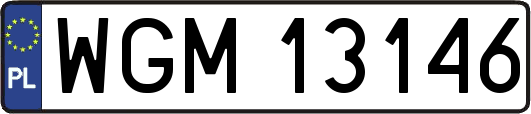 WGM13146
