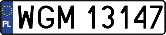 WGM13147