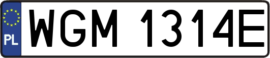 WGM1314E