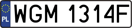 WGM1314F
