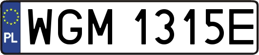 WGM1315E