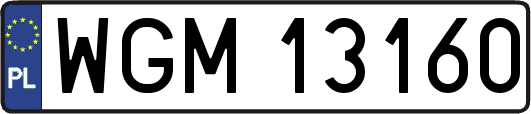 WGM13160