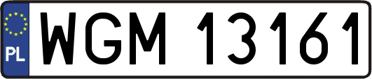 WGM13161