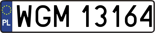 WGM13164