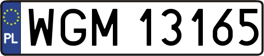 WGM13165