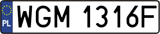 WGM1316F
