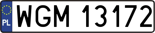 WGM13172