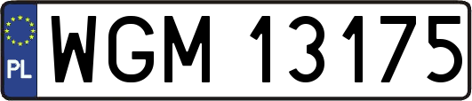 WGM13175