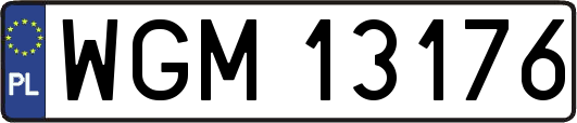 WGM13176