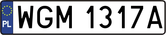 WGM1317A